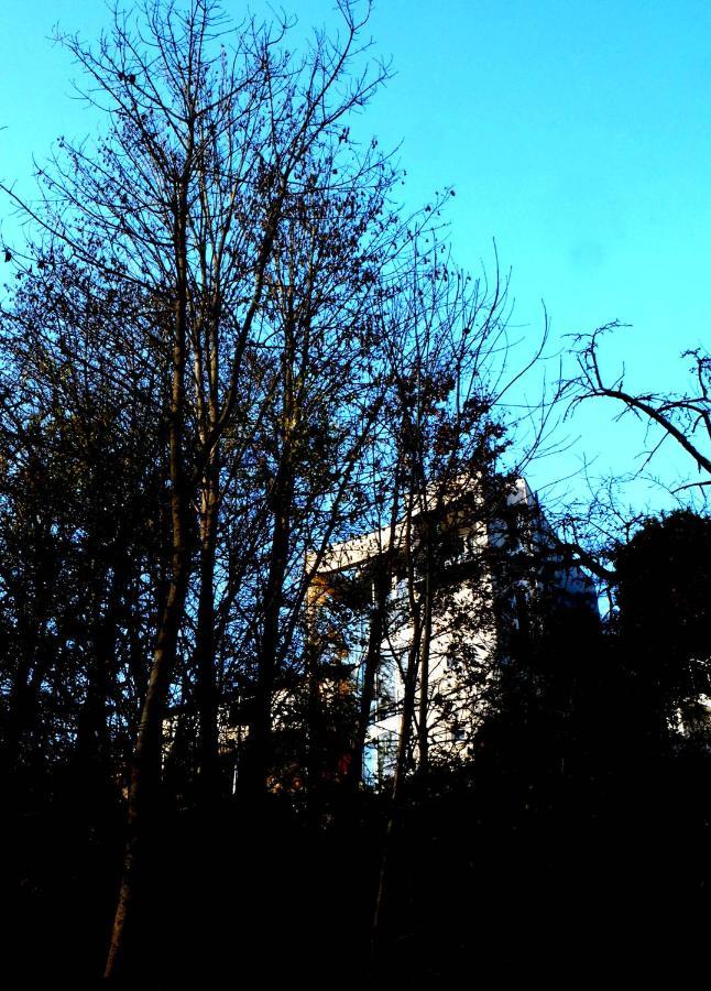 Ferienwohnung Im Turm Bellevue Mit 3 Schlafzimmern Sachsenheim Buitenkant foto